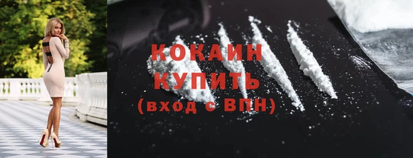 ГАЛЛЮЦИНОГЕННЫЕ ГРИБЫ Арсеньев