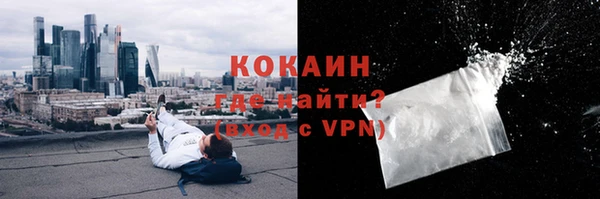 ГАЛЛЮЦИНОГЕННЫЕ ГРИБЫ Арсеньев