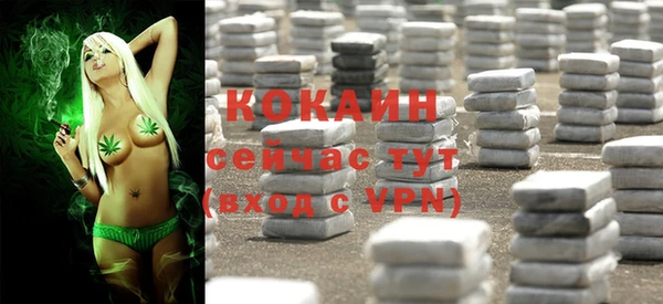 ГАЛЛЮЦИНОГЕННЫЕ ГРИБЫ Арсеньев