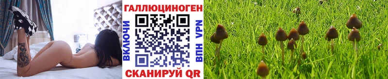 Галлюциногенные грибы MAGIC MUSHROOMS  Рыльск 